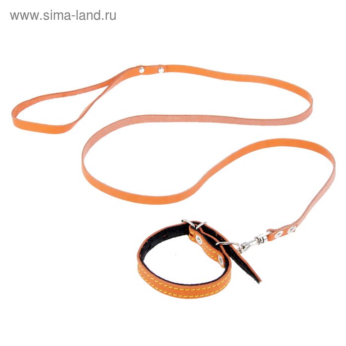 Комплект из цветной кожи для щенков Зооник, ошейник 35 см, поводок 130 х 1,5 см, микс
Комплект из цветной кожи для щенков Зооник, ошейник 35 см, поводок 130 х 1,5 см, микс