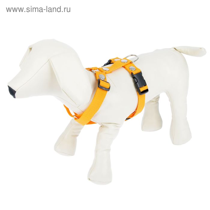 Шлейка сложная Зооник для кошек, 2 см микс цветов
Шлейка сложная Зооник для кошек, 2 см микс цветов