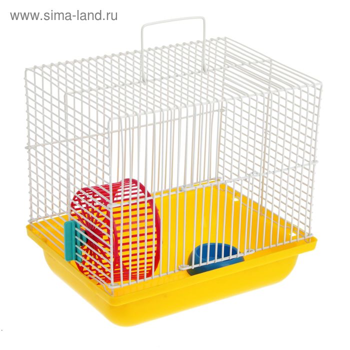 Клетка для джунгариков Зооник, 22,5 х 16,5 х 21 см, микс
Клетка для джунгариков Зооник, 22,5 х 16,5 х 21 см, микс
