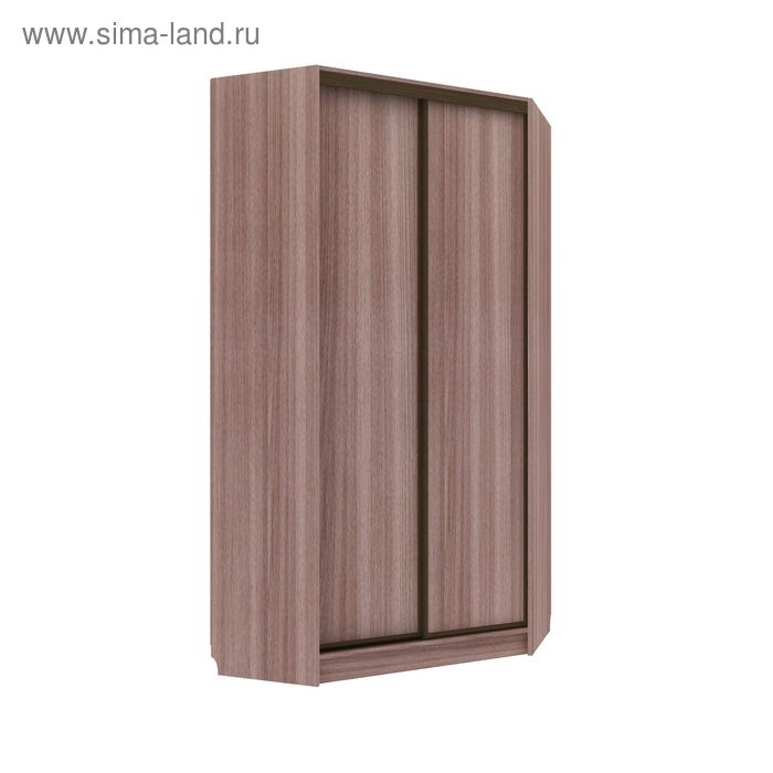 Угловой шкаф-купе Практичный Ясень Шимо Темный
Угловой шкаф-купе Практичный Ясень Шимо Темный