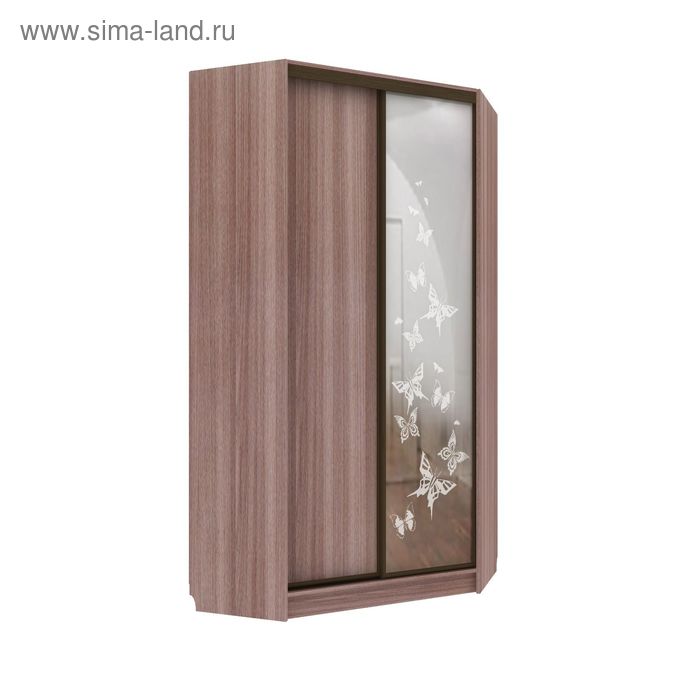 Угловой шкаф-купе Удобный 1 зеркало Бабочки Ясень Шимо Темный
Угловой шкаф-купе Удобный 1 зеркало Бабочки Ясень Шимо Темный