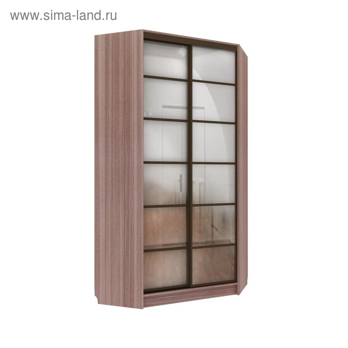 Угловой шкаф-купе Добротный 2 зеркала Ясень Шимо Темный
Угловой шкаф-купе Добротный 2 зеркала Ясень Шимо Темный