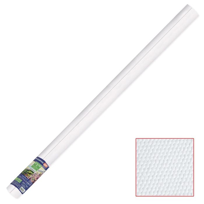 Холст в рулоне, хлопок 100%, 2.1 x 10 м, 380 г/м2, акриловый грунт, мелкозернистый, BRAUBERG ART CLASSIC
Холст в рулоне, хлопок 100%, 2.1 x 10 м, 380 г/м2, акриловый грунт, мелкозернистый, BRAUBERG ART CLASSIC