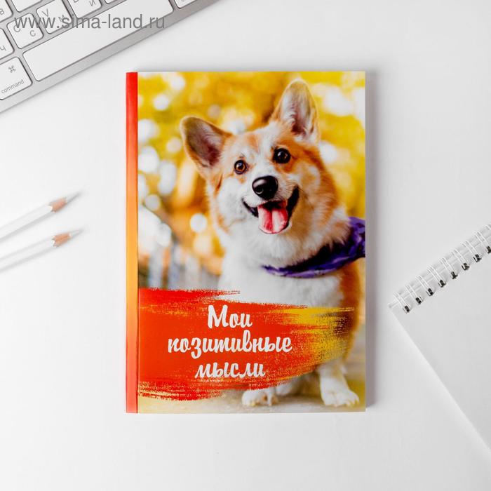 Ежедневник "Мои позитивные мысли", А5, 80 листов
Ежедневник "Мои позитивные мысли", А5, 80 листов
