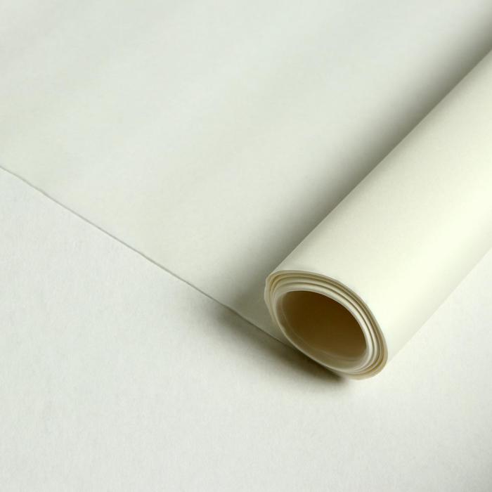 Калька под карандаш 420 мм, в рулоне 10 метров, 28 г/м², ГОСТ С1400-01
Калька под карандаш 420 мм, в рулоне 10 метров, 28 г/м², ГОСТ С1400-01