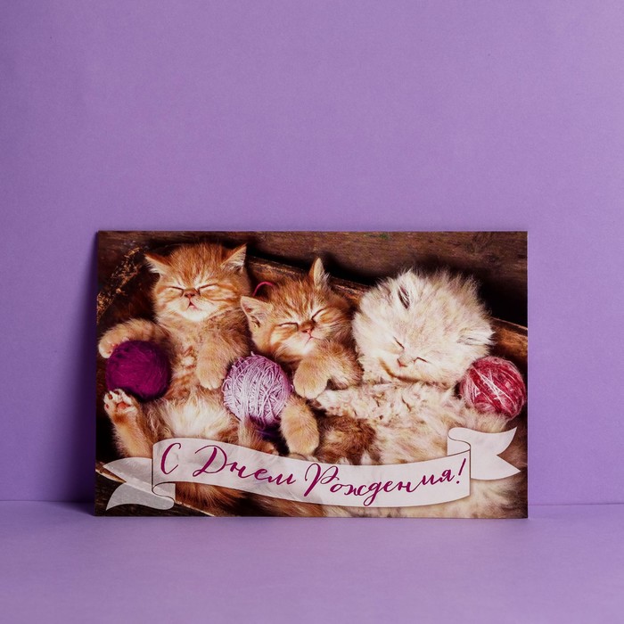 Открытка «С Днем Рождения», котята, 12 × 18 см
Открытка «С Днем Рождения», котята, 12 × 18 см