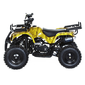 Квадроцикл детский бензиновый MOTAX ATV Х-16 Мини-Гризли, осенний камуфляж, механический стартер
Квадроцикл детский бензиновый MOTAX ATV Х-16 Мини-Гризли, осенний камуфляж, механический стартер