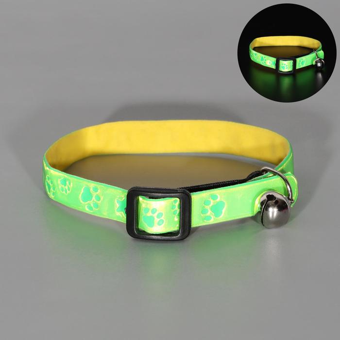 Ошейник светоотражающий пластиковый на резинке "Путь к звёздам", 29,5 см, микс
Ошейник светоотражающий пластиковый на резинке "Путь к звёздам", 29,5 см, микс