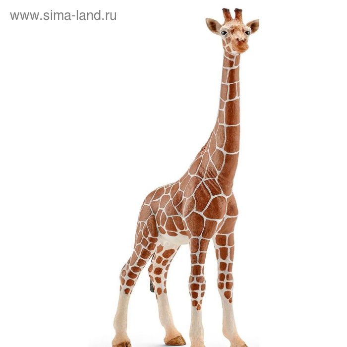 Фигурка «Жираф, самец»
Фигурка «Жираф, самец»