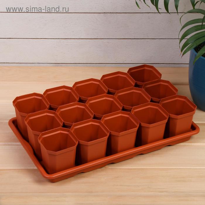 Набор для рассады: стаканы по 300 мл (15 шт.), поддон 41 × 25 см, МИКС
Набор для рассады: стаканы по 300 мл (15 шт.), поддон 41 × 25 см, МИКС