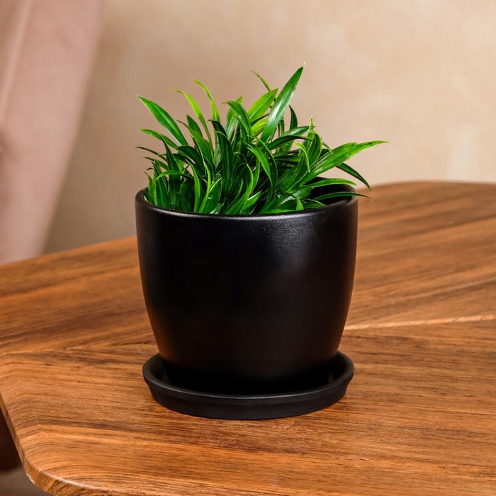 Горшок для цветов "Осень", глянец, чёрный, керамика, 1 л
Горшок для цветов "Осень", глянец, чёрный, керамика, 1 л