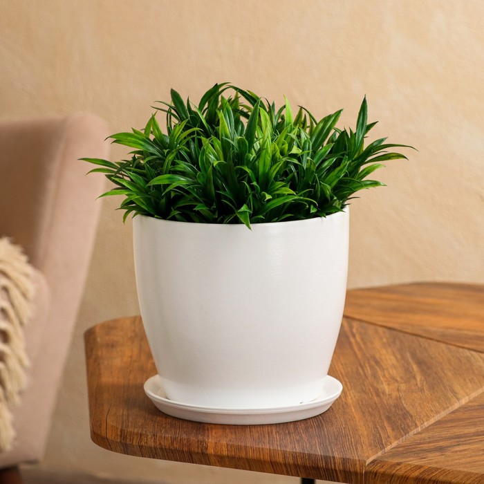 Горшок для цветов "Осень", глянец, белый, керамика, 3 л
Горшок для цветов "Осень", глянец, белый, керамика, 3 л