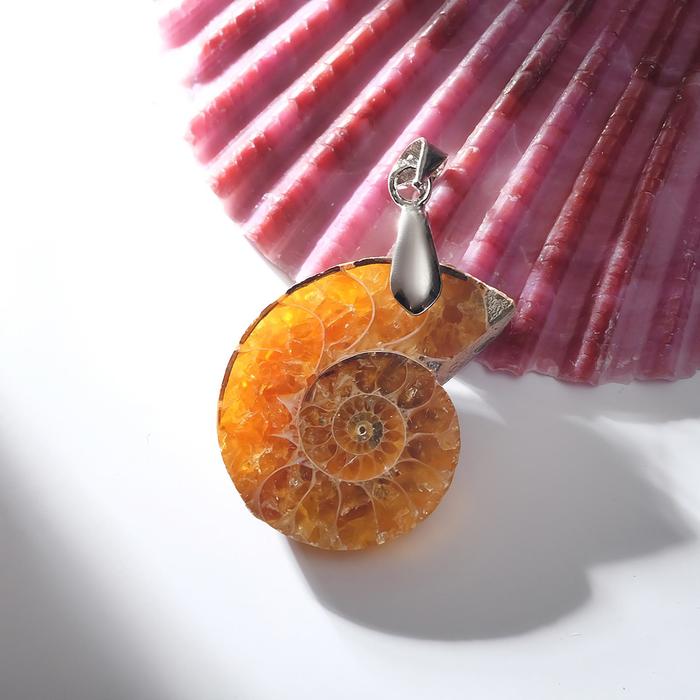 Подвеска "Аммонит"
Подвеска "Аммонит"