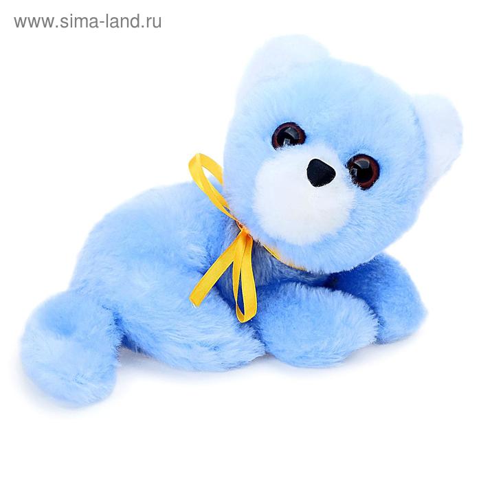 Мягкая игрушка «Кошка Ксюша», цвета МИКС
Мягкая игрушка «Кошка Ксюша», цвета МИКС