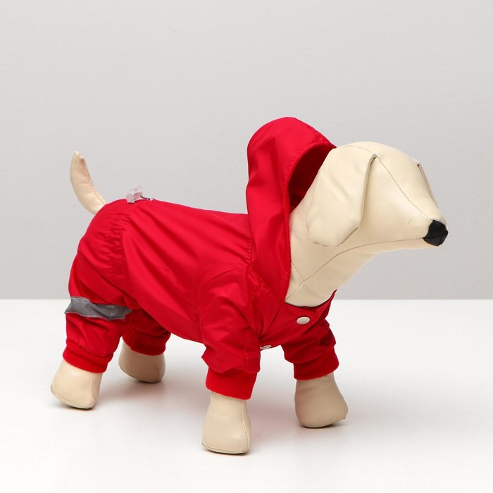 Комбинезон для животных "Пожарник", флис, XL (ДС 32-34, ОШ 32, ОГ 40-44 см), красный
Комбинезон для животных "Пожарник", флис, XL (ДС 32-34, ОШ 32, ОГ 40-44 см), красный