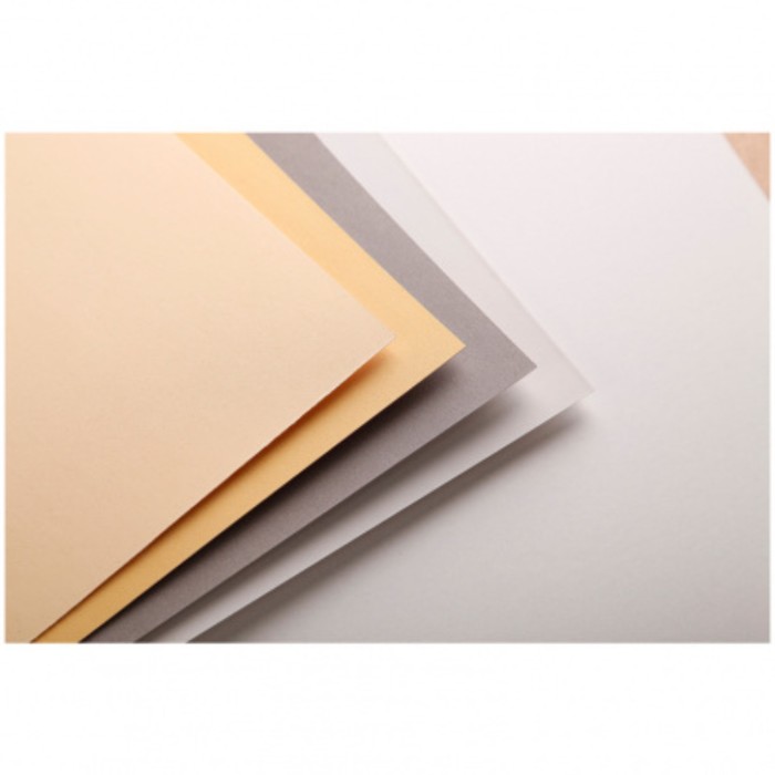 Альбом для пастели А3 300*400 мм Clairefontaine Pastelmat 12 листов склейка 360 г/м2, 4цв 96018С
Альбом для пастели А3 300*400 мм Clairefontaine Pastelmat 12 листов склейка 360 г/м2, 4цв 96018С