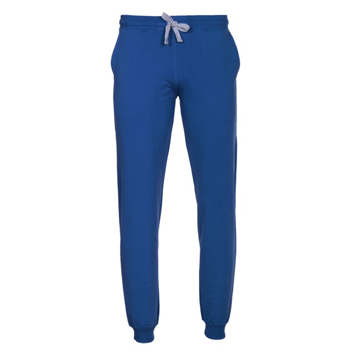 Брюки мужские, размер 46, цвет синий
Брюки мужские, размер 46, цвет синий