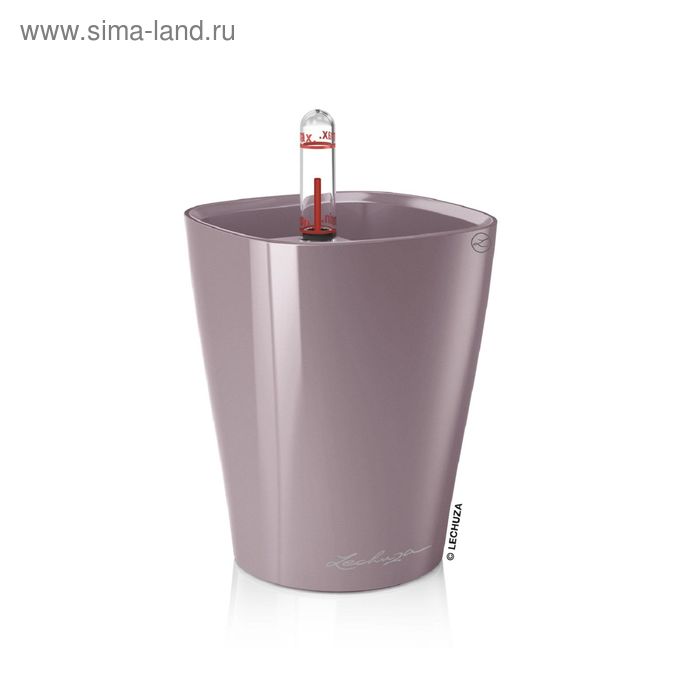 Кашпо с автополивом «Дельтини. Мини», цвет фиолетовый
Кашпо с автополивом «Дельтини. Мини», цвет фиолетовый