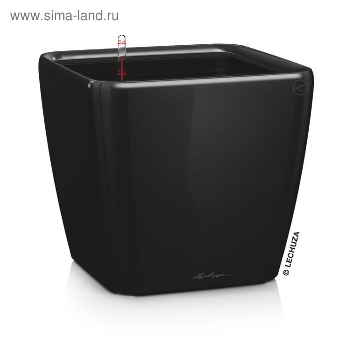 Кашпо с автополивом «Квадро», цвет чёрный
Кашпо с автополивом «Квадро», цвет чёрный