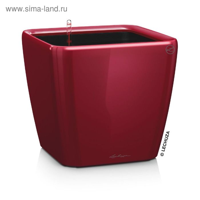 Кашпо с автополивом «Квадро», цвет красный
Кашпо с автополивом «Квадро», цвет красный