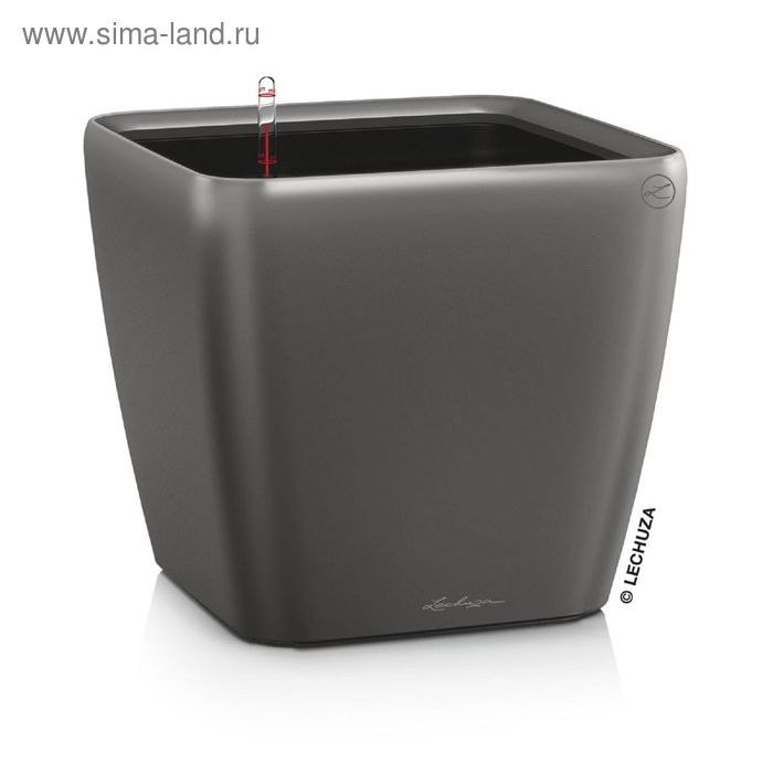 Кашпо с автополивом «Квадро», цвет антрацит
Кашпо с автополивом «Квадро», цвет антрацит