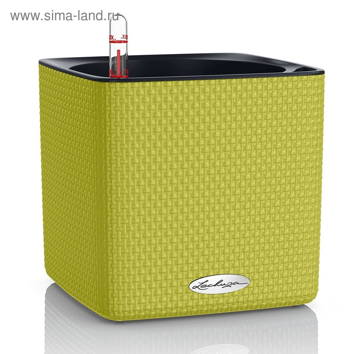 Кашпо с автополивом «Кьюб», цвет лайм
Кашпо с автополивом «Кьюб», цвет лайм