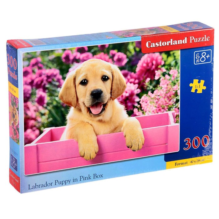 Пазлы «Щенок в ящике», 300 элементов
Пазлы «Щенок в ящике», 300 элементов