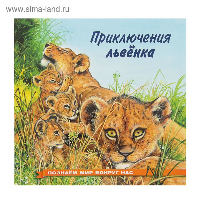 «Приключения львёнка», Гурина И. В.
«Приключения львёнка», Гурина И. В.