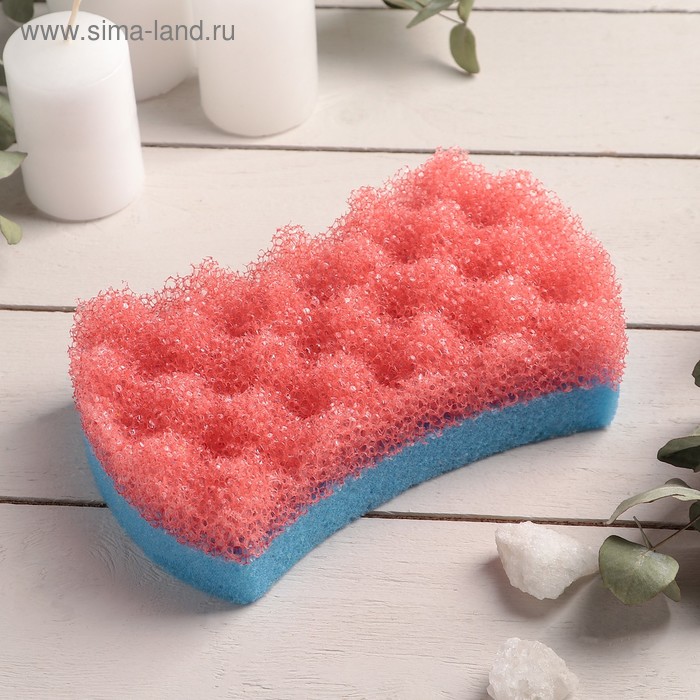 Губка для тела «ЧистоДел», цвет МИКС
Губка для тела «ЧистоДел», цвет МИКС