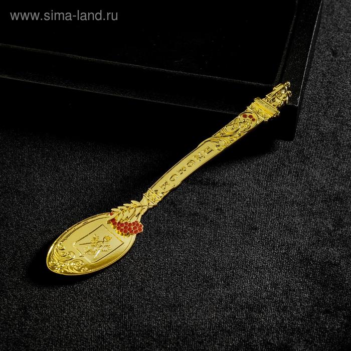 Ложка сувенирная «Ижевск»
Ложка сувенирная «Ижевск»