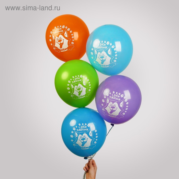 Шар воздушный «С Днём рождения»,12", собачка, набор 25 шт.
Шар воздушный «С Днём рождения»,12", собачка, набор 25 шт.