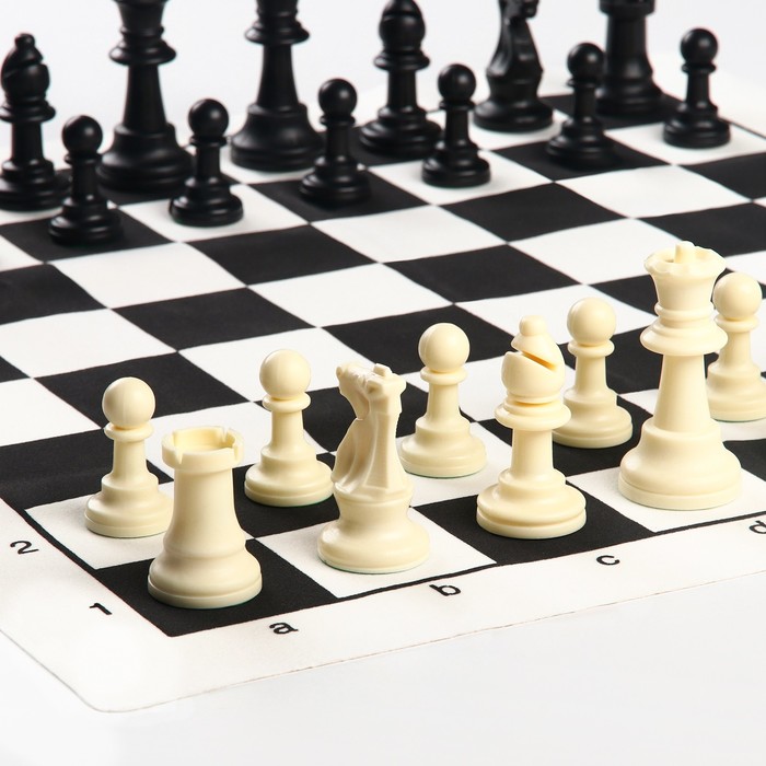 фото Шахматы в пакете, фигуры (пешка h-4.5 см, ферзь h-7.5 см), поле 50 х 50 см