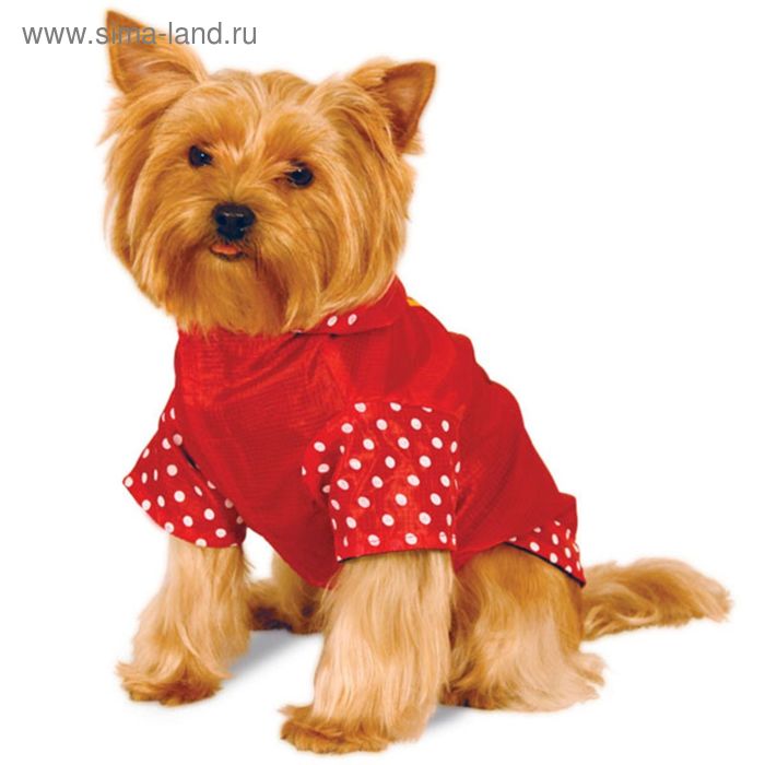 Дождевик Triol-Disney WD1027XS "Minnie" XS
Дождевик Triol-Disney WD1027XS "Minnie" XS