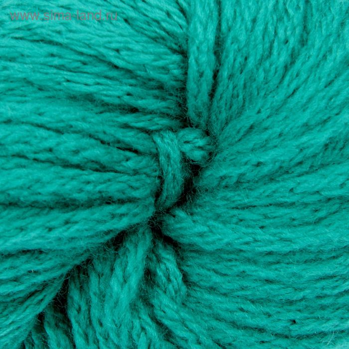 Пряжа "Непоседа" 20% меринос.шерсть, 80% акрил 100м/100гр (0313, изумруд)
Пряжа "Непоседа" 20% меринос.шерсть, 80% акрил 100м/100гр (0313, изумруд)