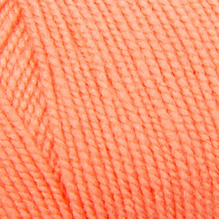 Пряжа "Пчелка" 100% акрил 500м/100гр (0421, св.-оранжевый)
Пряжа "Пчелка" 100% акрил 500м/100гр (0421, св.-оранжевый)