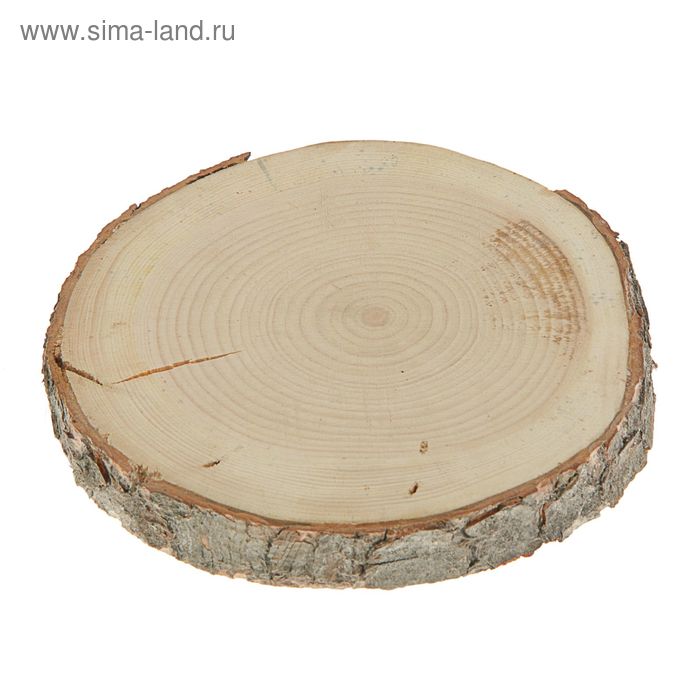 Спил кедра, шлифованный с одной стороны, диаметр 15-18 см, толщина 2-3 см
Спил кедра, шлифованный с одной стороны, диаметр 15-18 см, толщина 2-3 см