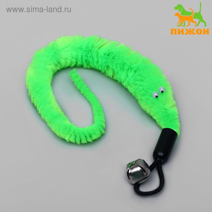 Игрушка-дразнилка для кошек "Змейка", с бубенчиком, микс цветов
Игрушка-дразнилка для кошек "Змейка", с бубенчиком, микс цветов