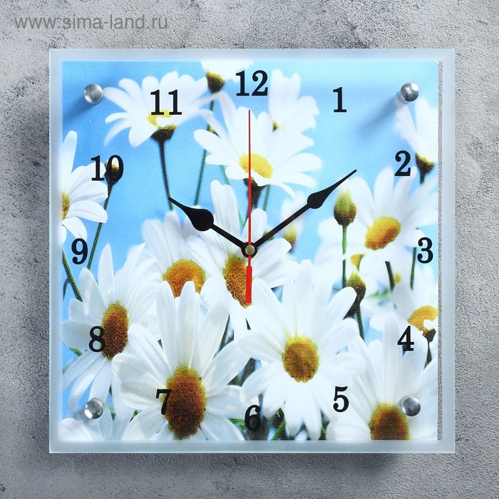Часы настенные, серия: Цветы, "Ромашки", 25х25 см
Часы настенные, серия: Цветы, "Ромашки", 25х25 см