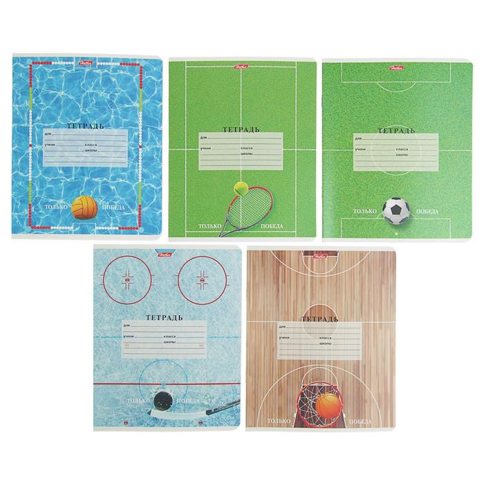 Тетрадь 18 листов, в клетку, "СпортКлуб", обложка мелованная бумага, блок офсет, МИКС
Тетрадь 18 листов, в клетку, "СпортКлуб", обложка мелованная бумага, блок офсет, МИКС