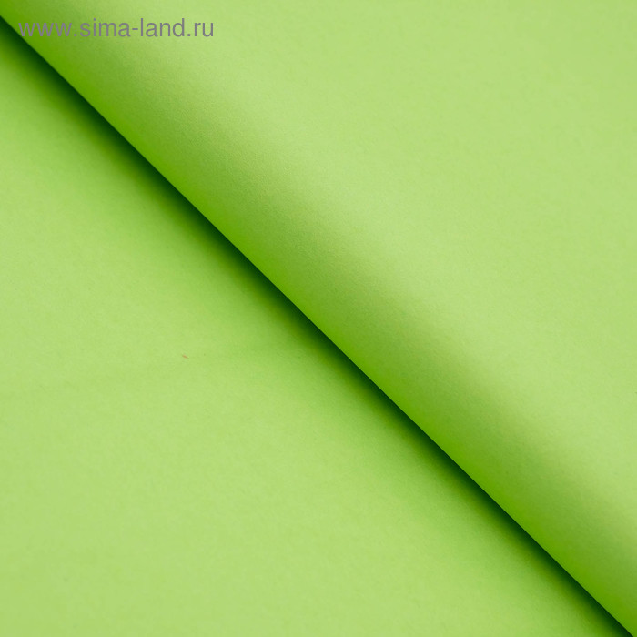 Бумага цветная тишью шёлковая, 510 х 760 мм, Sadipal, 1 лист, 17 г/м2, зелёная
Бумага цветная тишью шёлковая, 510 х 760 мм, Sadipal, 1 лист, 17 г/м2, зелёная