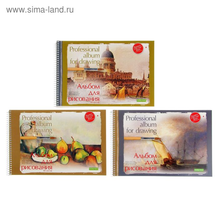 Альбом для рисования А4, 40 листов на гребне «Профессиональный», микс
Альбом для рисования А4, 40 листов на гребне «Профессиональный», микс
