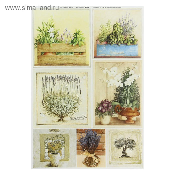 Декупажная карта "Карточки с полевыми цветами" плотность 45г/м2, формат А4
Декупажная карта "Карточки с полевыми цветами" плотность 45г/м2, формат А4