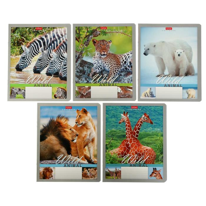 Тетрадь 24 листа в линейку «Мир животных», обложка мелованный картон, блок офсет, МИКС
Тетрадь 24 листа в линейку «Мир животных», обложка мелованный картон, блок офсет, МИКС