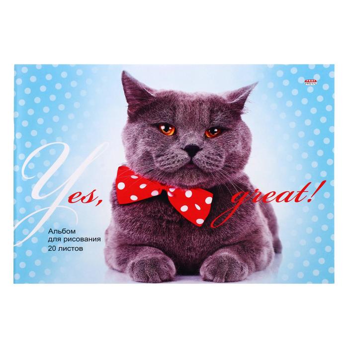 Альбом для рисования А4, 20 листов на скрепке "Кот с бантом", обложка мелованный картон, блок 100 г/м²
Альбом для рисования А4, 20 листов на скрепке "Кот с бантом", обложка мелованный картон, блок 100 г/м²