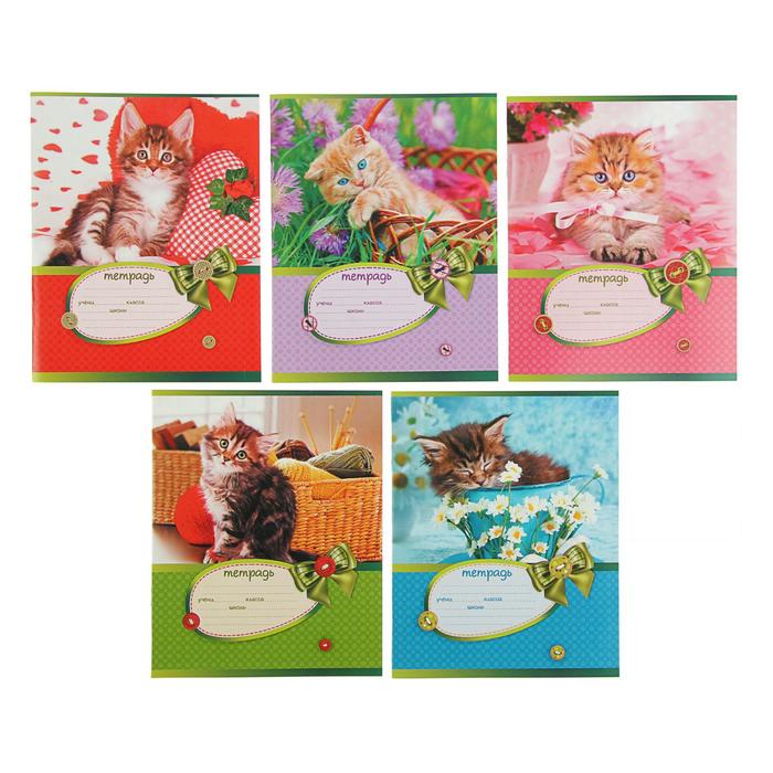 Тетрадь 18 листов в клетку «ЦапЦарап», картонная обложка, МИКС
Тетрадь 18 листов в клетку «ЦапЦарап», картонная обложка, МИКС