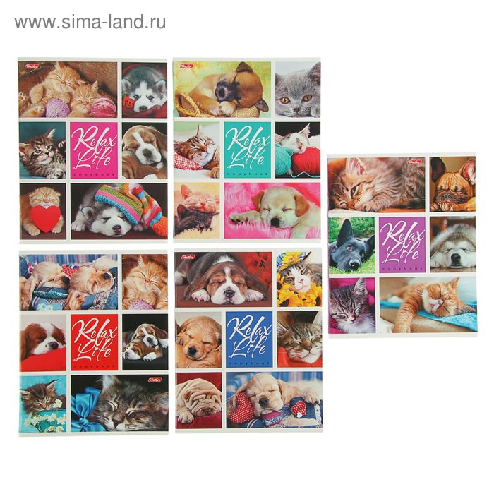 Тетрадь 60 листов в клетку Relax Life, картонная обложка, МИКС
Тетрадь 60 листов в клетку Relax Life, картонная обложка, МИКС