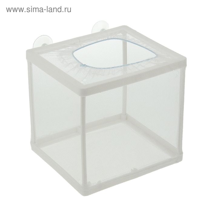 Отсадник малый, 16 х 15 х 15,5 см
Отсадник малый, 16 х 15 х 15,5 см