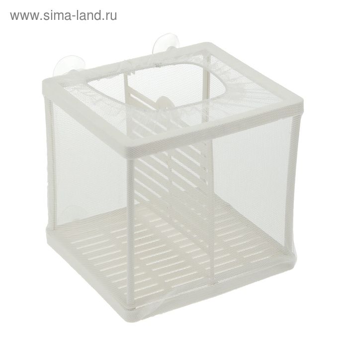 Отсадник малый с перегородкой и пластиковым дном, 16 х 15 х 15,5 см
Отсадник малый с перегородкой и пластиковым дном, 16 х 15 х 15,5 см