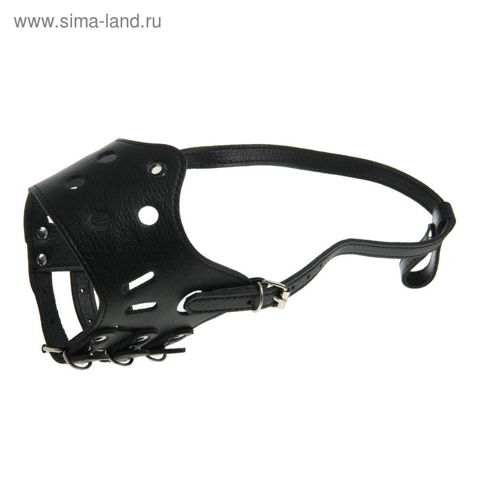 Намордник из прессованной кожи регулируемый, 4 (ОМ 29-35 см, ДН 8,8 см), микс
Намордник из прессованной кожи регулируемый, 4 (ОМ 29-35 см, ДН 8,8 см), микс