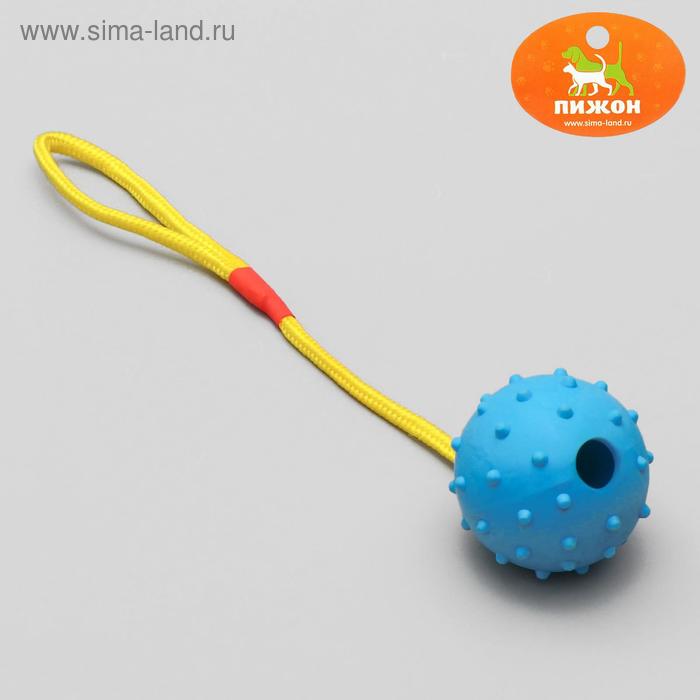 Игрушка мяч на веревке, 6 см, микс цветов
Игрушка мяч на веревке, 6 см, микс цветов